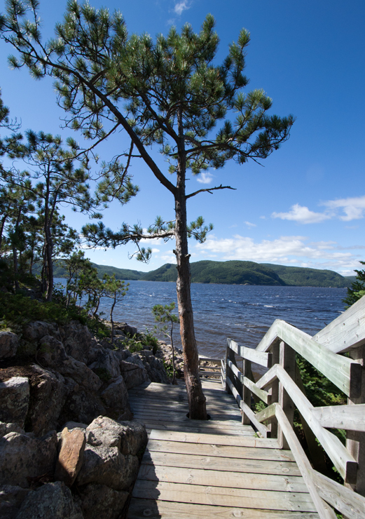Fjord, Whale observation platform