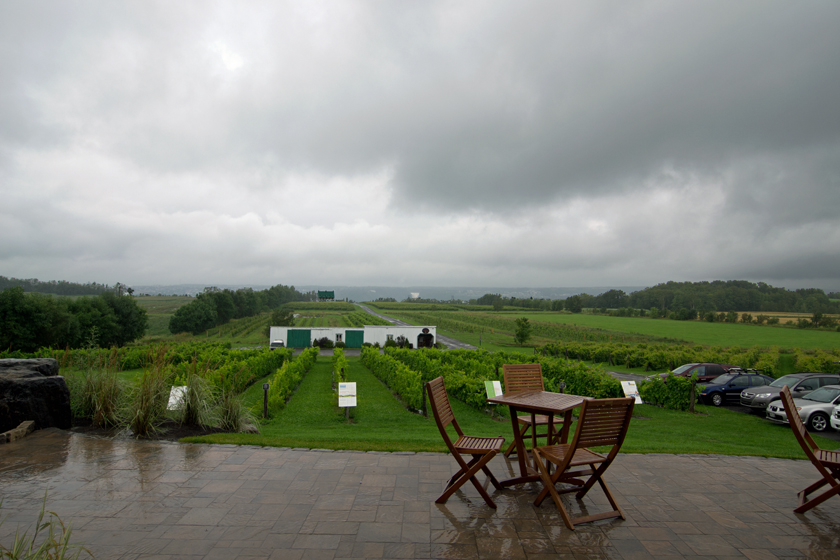 rainy day at the vineyard