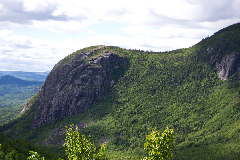 A view from the trail