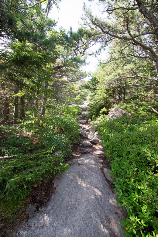 Southern Summit Trail to Mount Cadillac