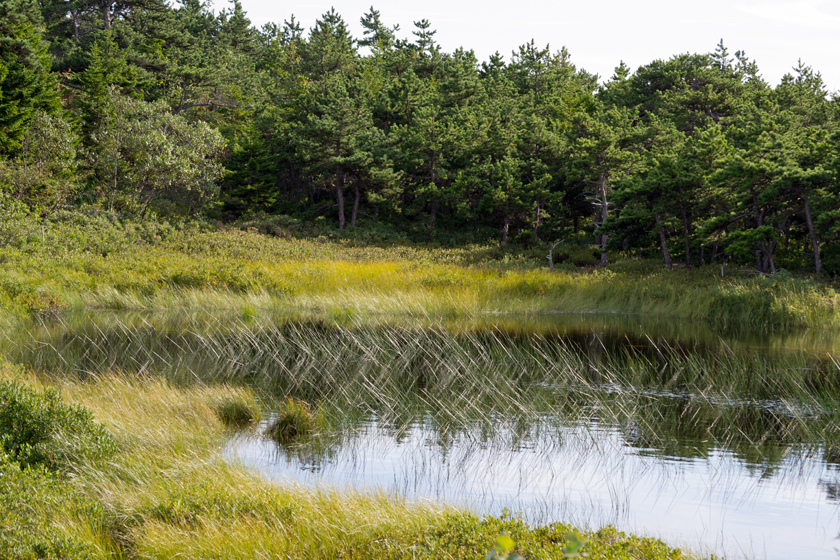Pond on Southern Summit Trail