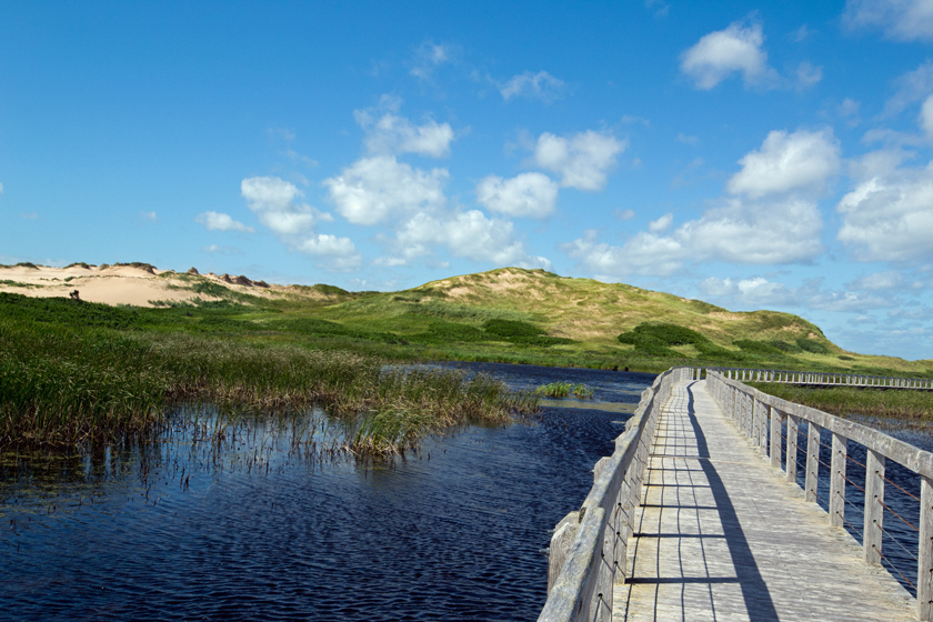 Greenwich Dunes Trail