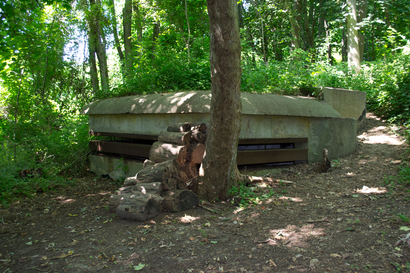 Hartshorne Woods: old defense