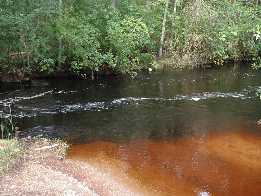 Mullica River