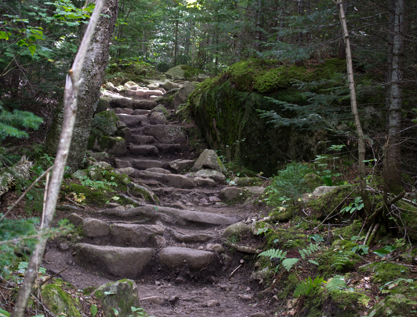 L'Acropole-des-Draveurs trail