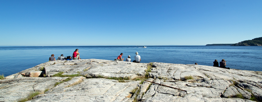 Whale Watchers