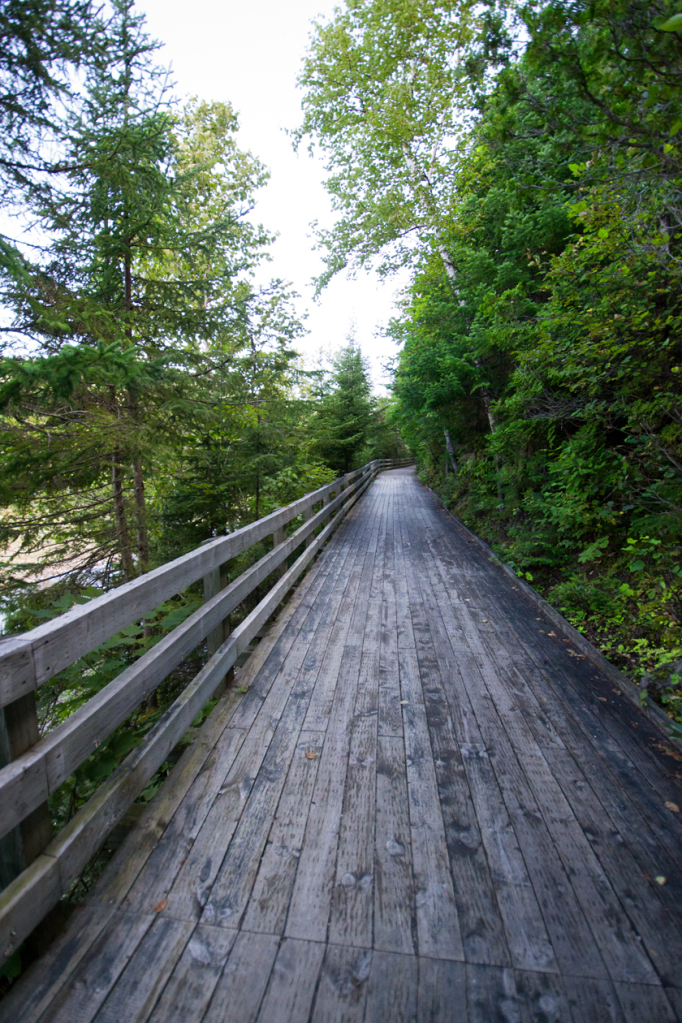 Baie-Sainte-Marguerite trackway