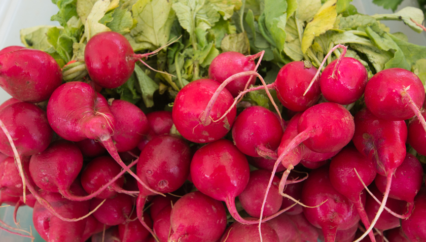 Radishes