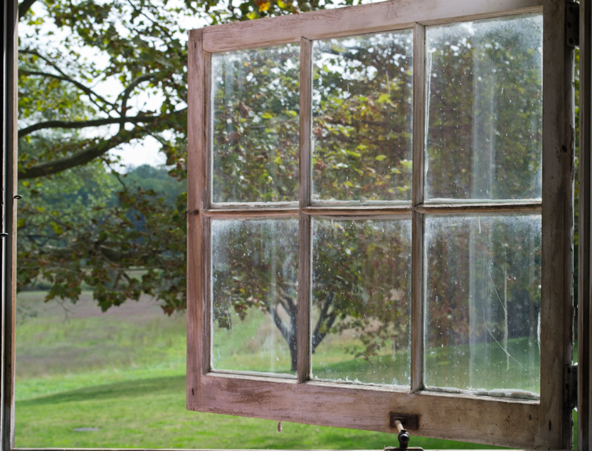 Window