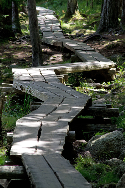 Trackway