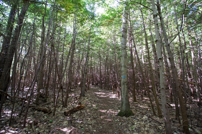 Beginning of the Gorge Trail