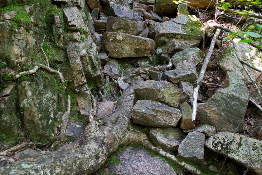 Roots and rocks