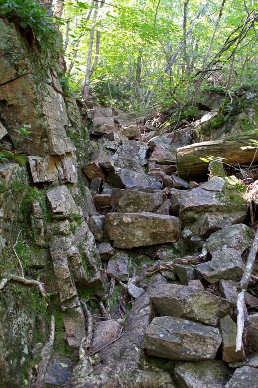 Gorge Path