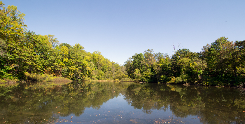 Pond by Hartshorne Woods