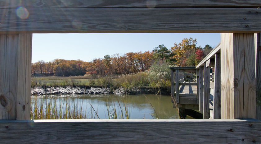 Walkway in the salt marshes