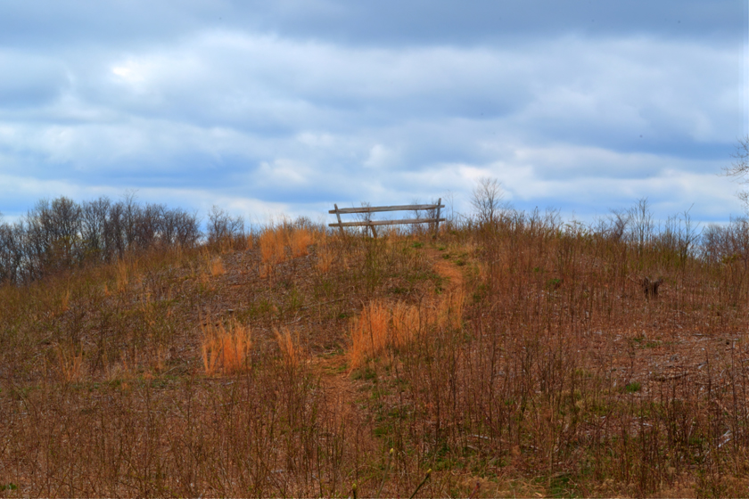 Fence