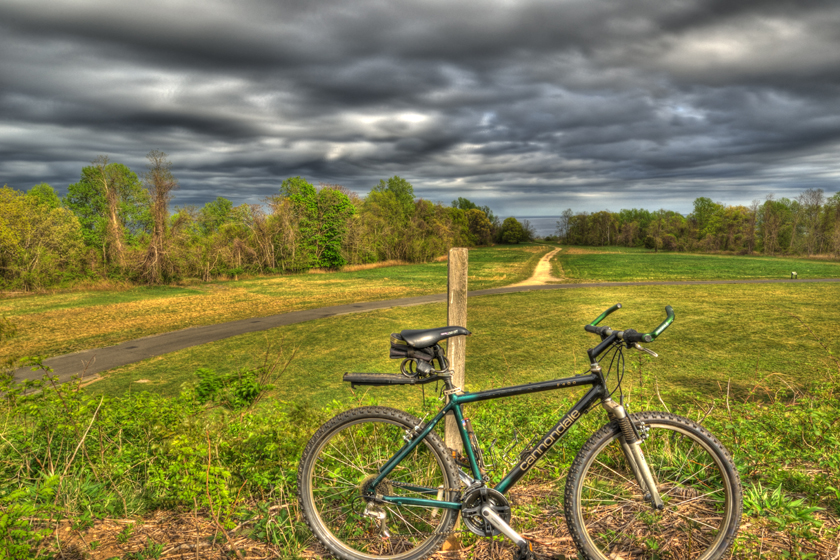 Biking to the bay