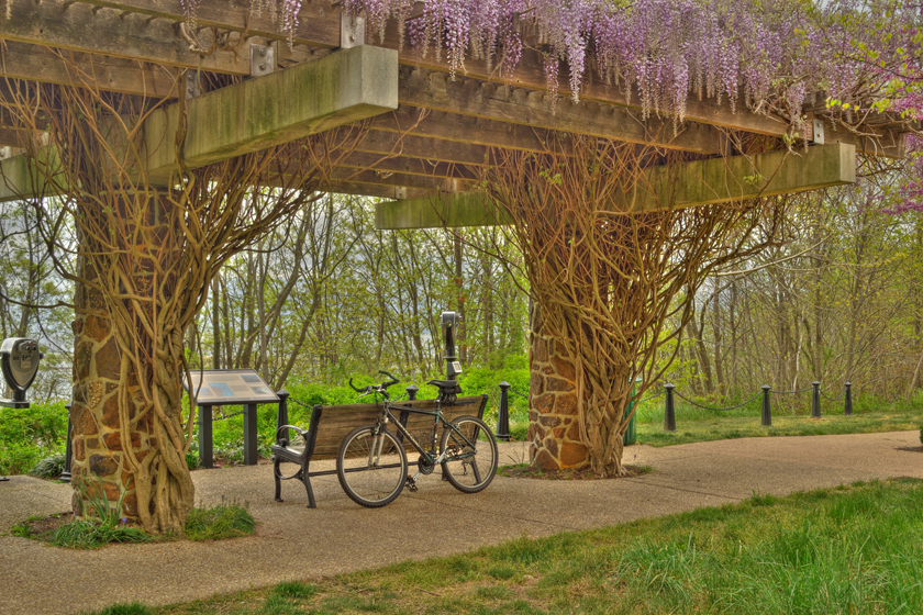 Biking to the park