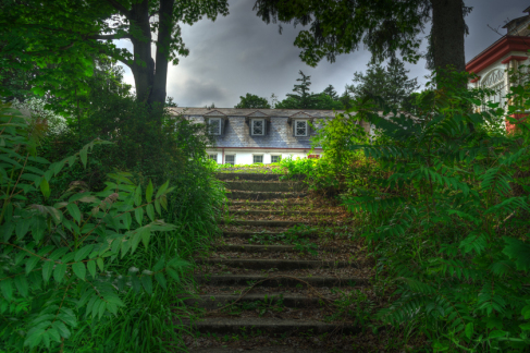 Forest Reclaiming the Grand old Hotel