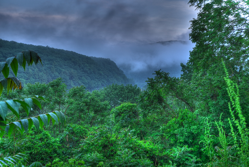Fog above the Delaware