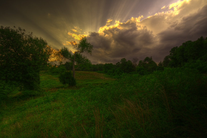 Approaching storm