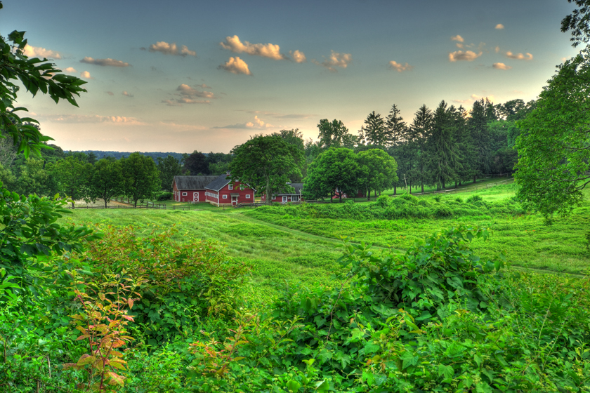 Farm/park