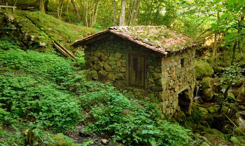 Old stone mill in forest