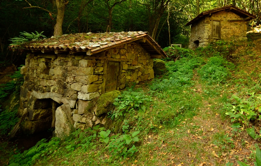 Old stone mill in forest 2