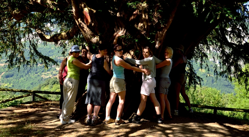 Hugging the yew tree