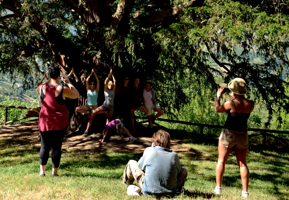 Photographers at work