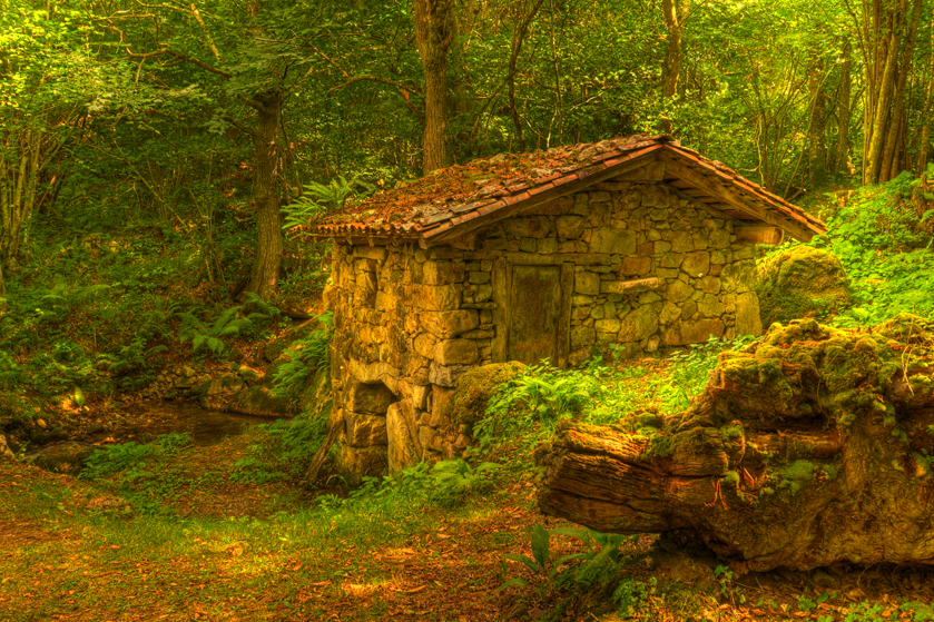 Old stone mill 3