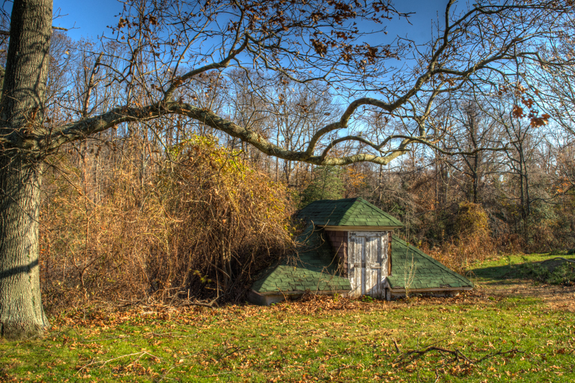 Views of a shed