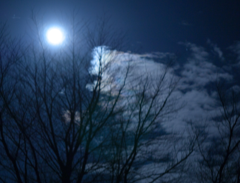 full moon in my back yard
