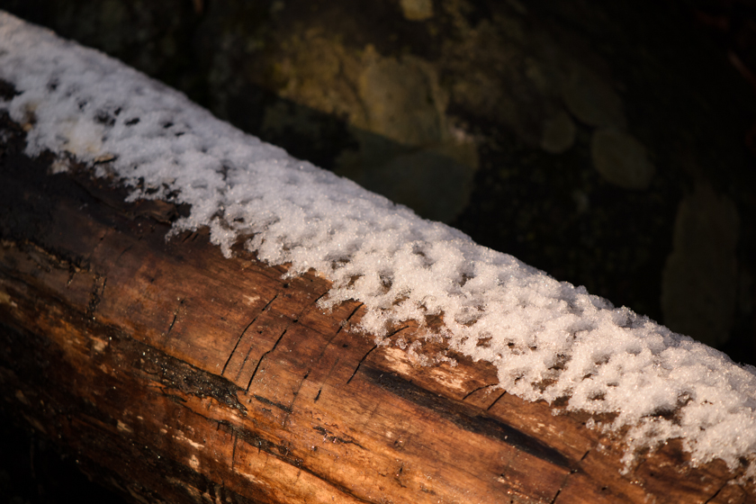 Christmas Snow