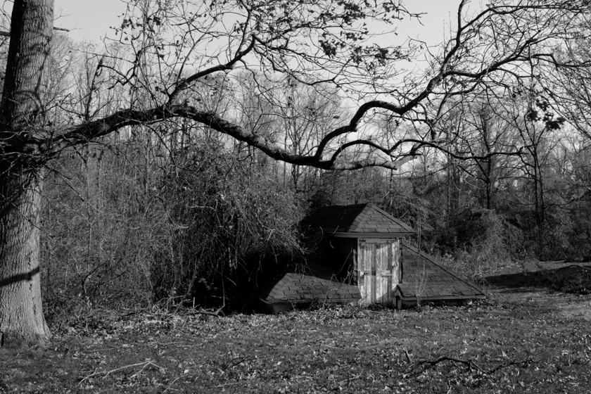 Old Boat Shed